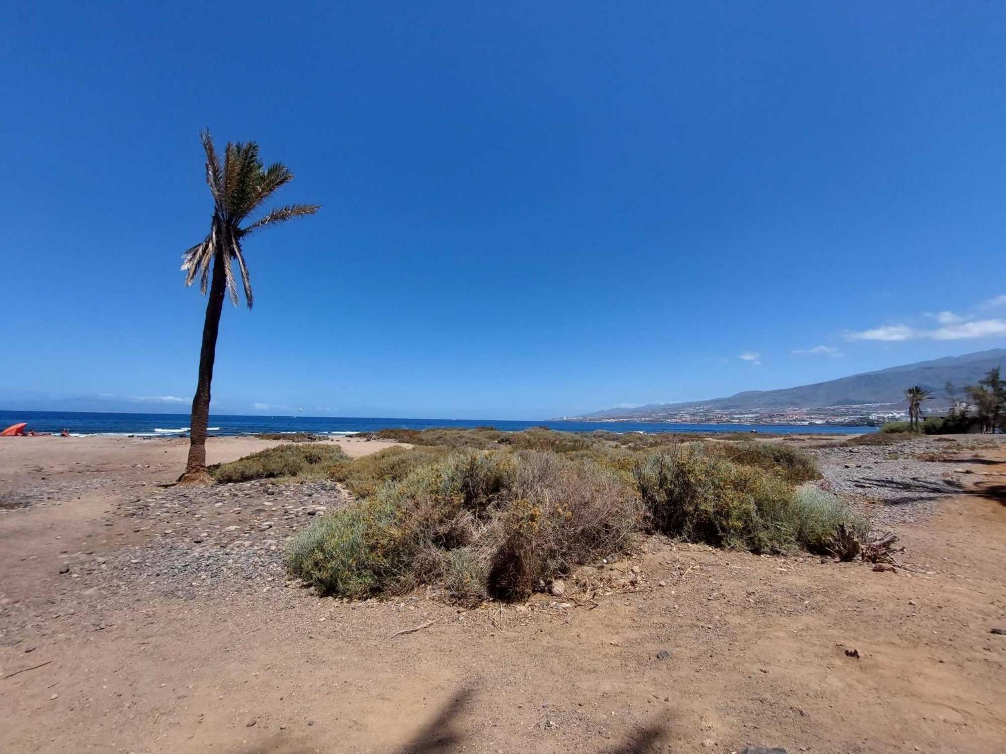Apartamento De Un Dormitorio En Mareverde E14 Costa Adeje  Exterior foto